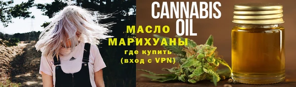 PSILOCYBIN Вяземский
