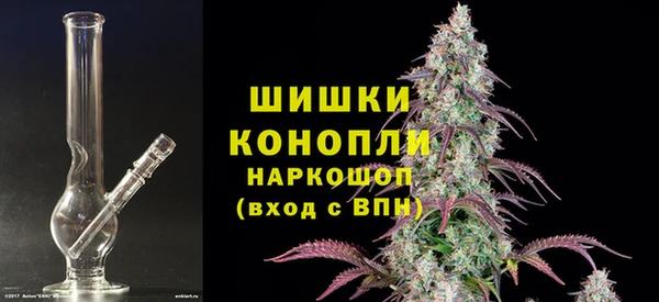 PSILOCYBIN Вяземский