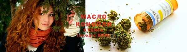 гидропоника Горнозаводск
