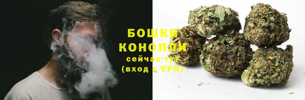 гидропоника Горнозаводск
