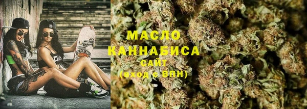 гидропоника Горнозаводск