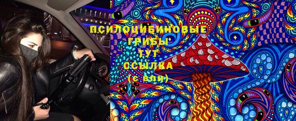 PSILOCYBIN Вяземский