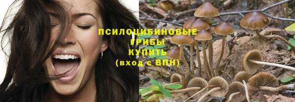 прущие крисы Горно-Алтайск