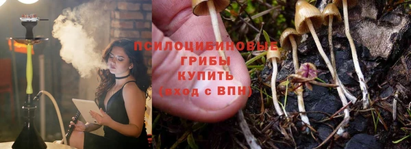 круглые Вязьма