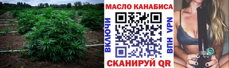 ТГК концентрат  Купить закладки  Амурск 