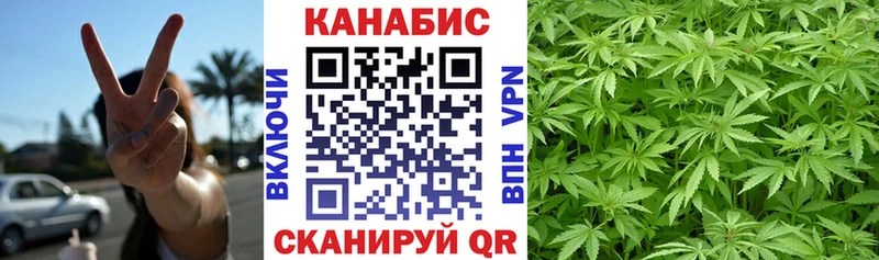 Купить где Амурск Шишки марихуана SATIVA & INDICA